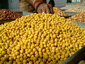 The kidney is associated with the water element, and its season is winter.  Its color is black and its flavor is salty.