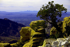 Cool landscape picture - not significant, just adding some color to this page!